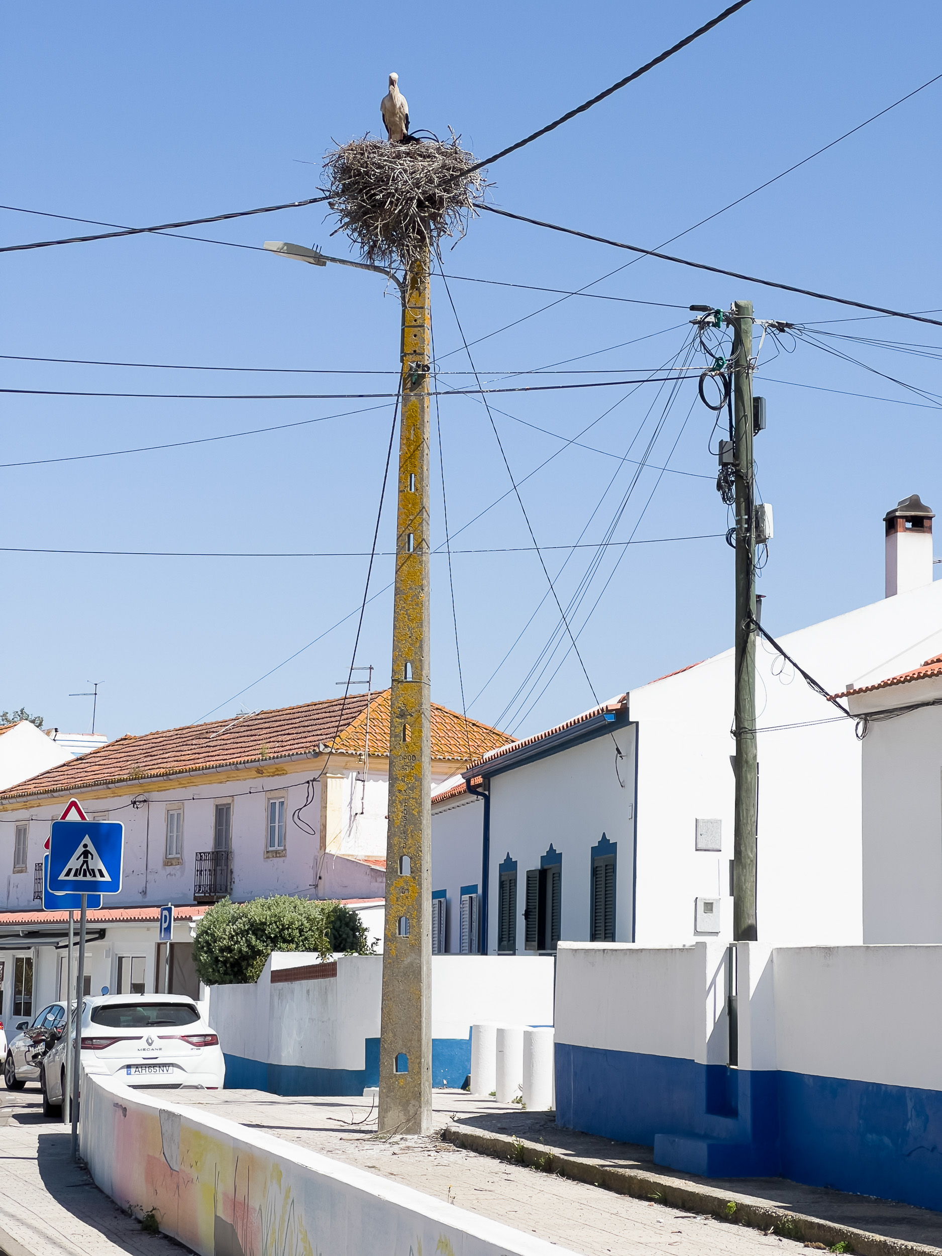 A quiet alley in Comporta with a small cafe and relaxed visitors