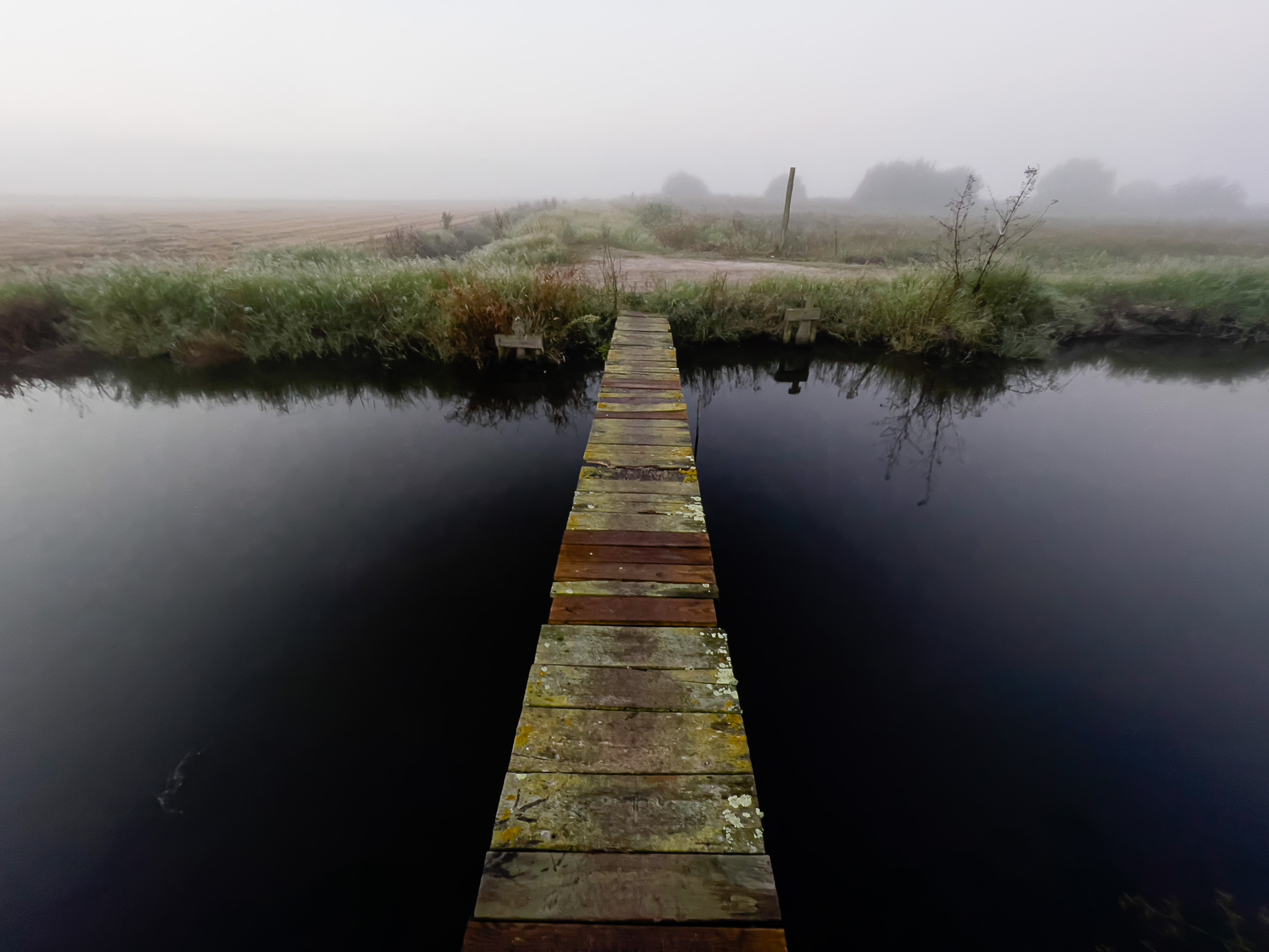 Ein stimmungsvoller Bewässerungskanal, der von dichtem Morgennebel umhüllt wird