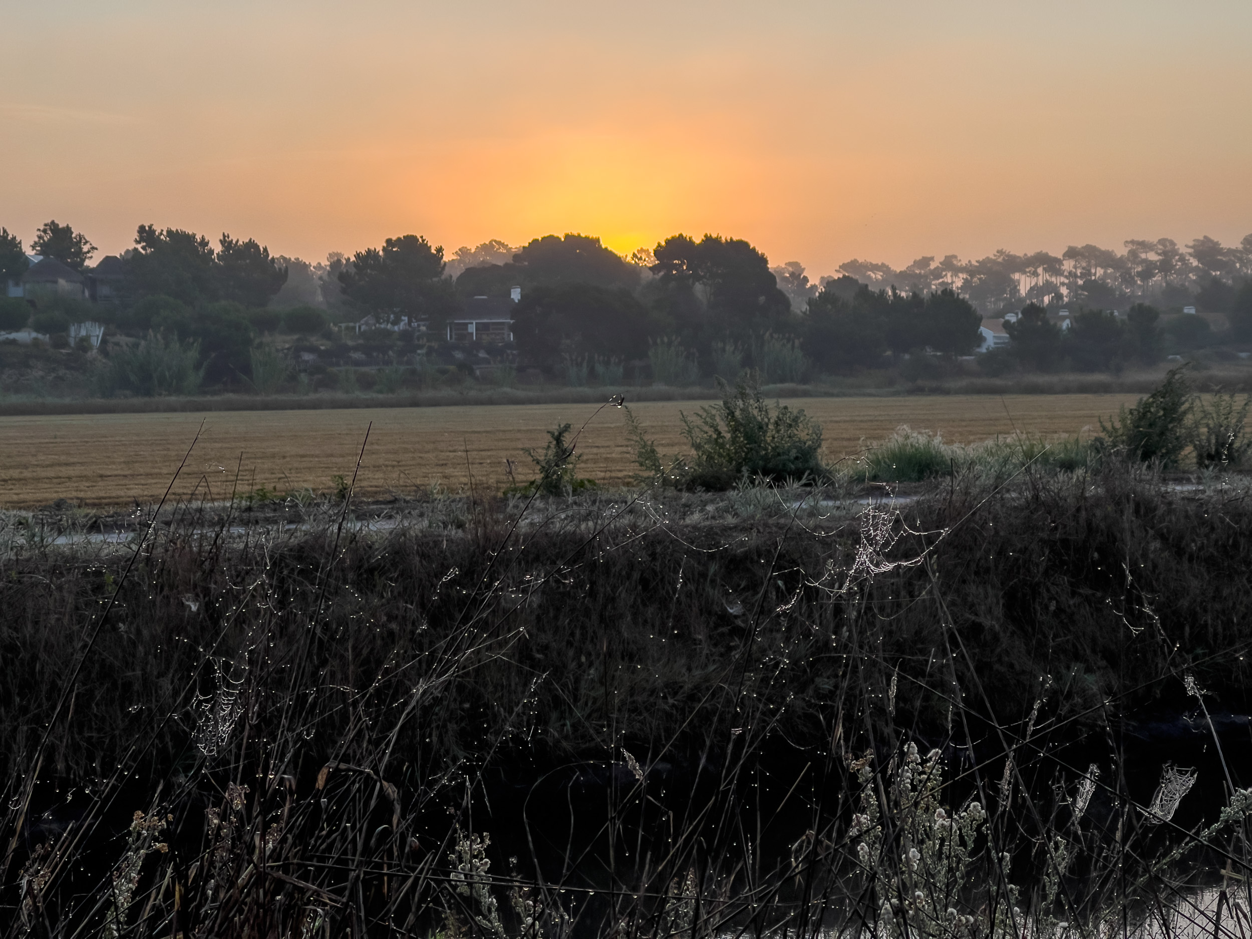 Ein atemberaubender Sonnenaufgang taucht die weite Natur am Horizont in ein warmes Licht