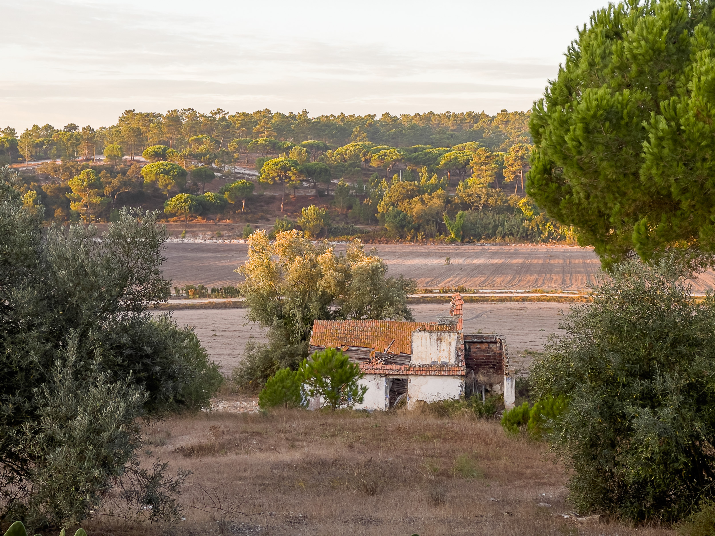 Eine idyllische, ländliche Szene in Comporta mit traditionellen portugiesischen Häusern, umgeben von Bäumen
