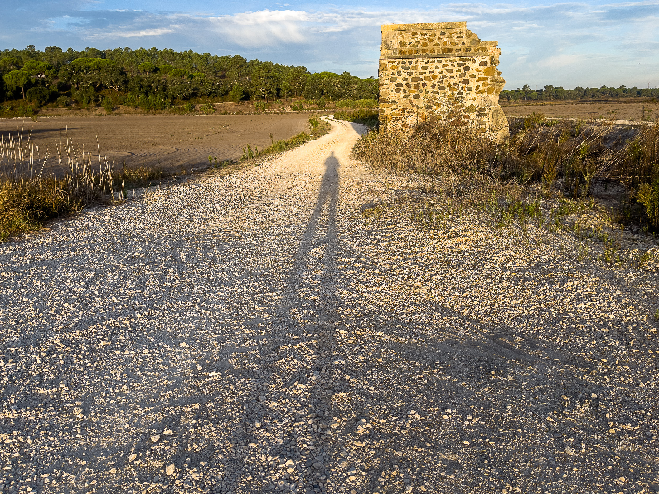 Ein gerader, heller Sandweg durch die weiten Felder von Comporta, gesäumt von einer kleinen Steinmauer