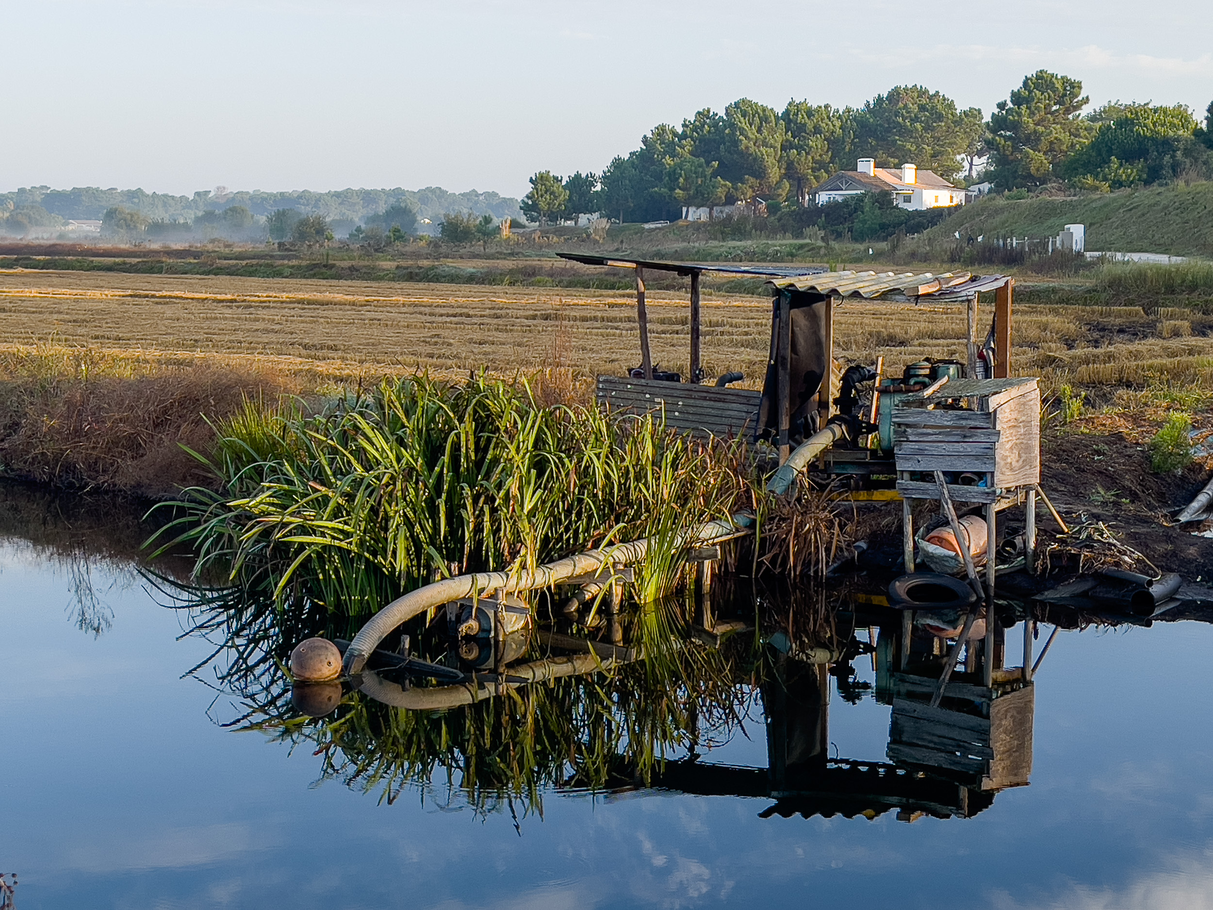 Eine kleine Holzbrücke und eine Pumpstation an einem ruhigen Wasserkanal in den Reisfeldern
