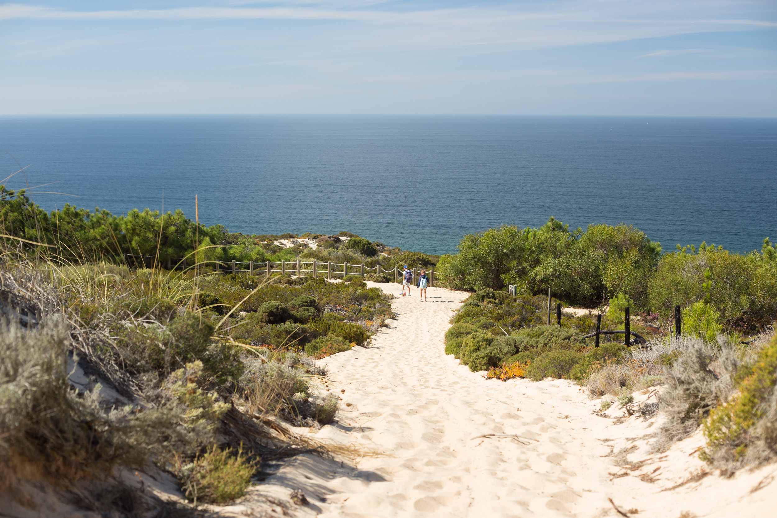 Un chemin sablonneux serpente à travers des dunes vertes en direction de la mer.