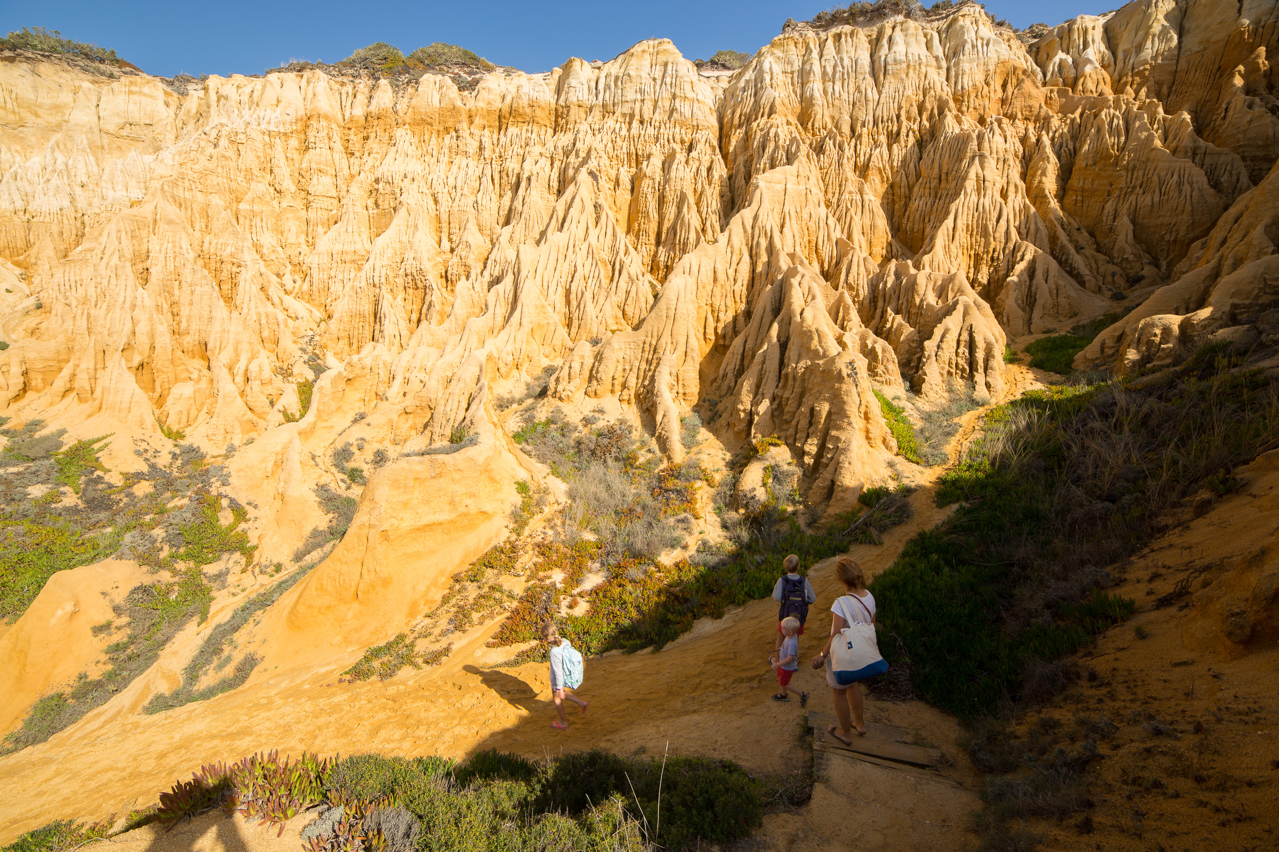 Une haute falaise de grès qui semble interminable longe une plage de sable complètement déserte.
