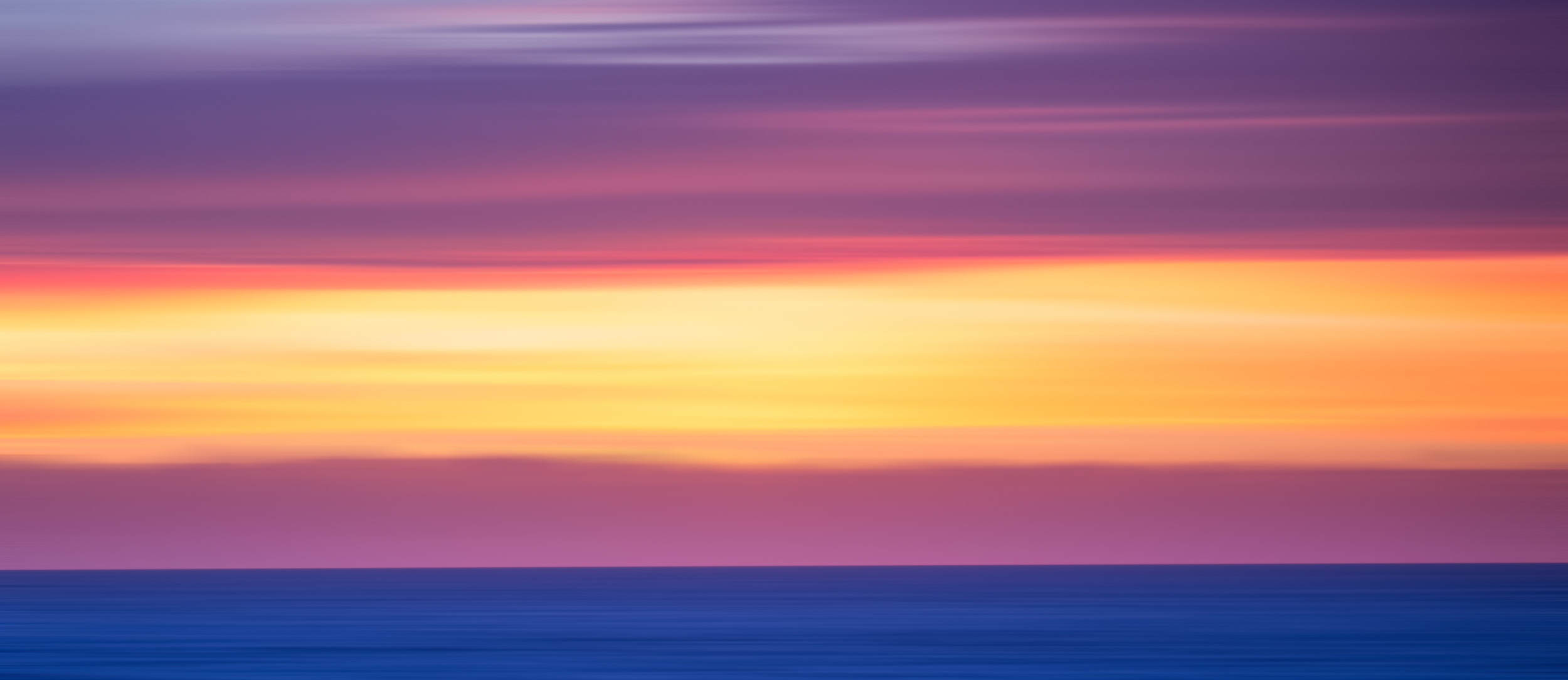 Douce silhouette de la végétation côtière contre le ciel flamboyant du soir sur l'Atlantique.