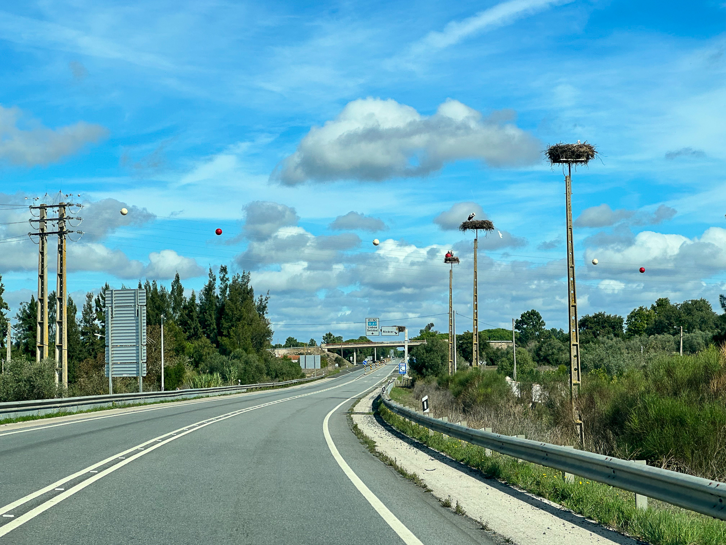 Storchennester auf Strommasten entlang einer Landstraße, im Hintergrund ein Schild nach Alcácer