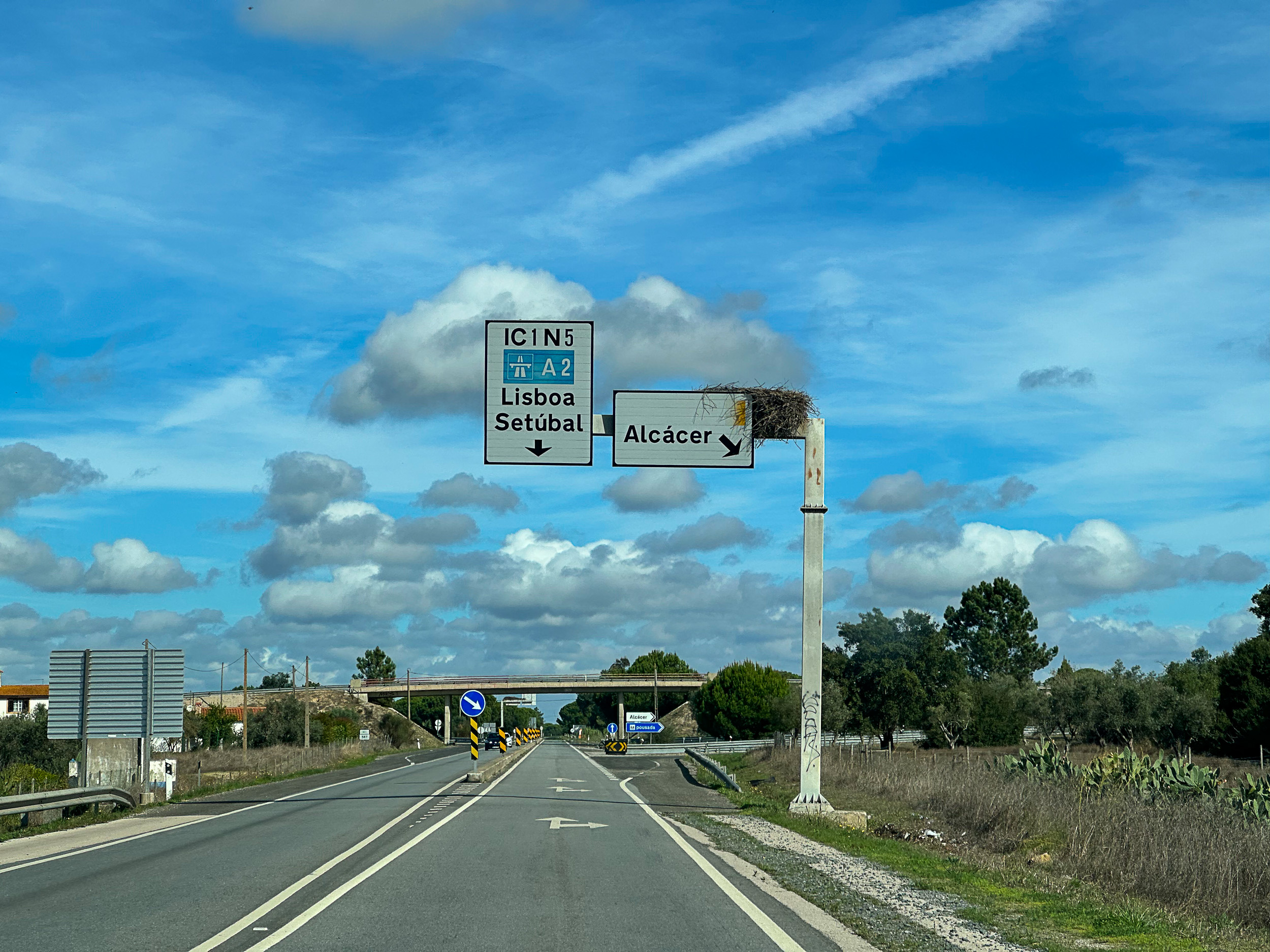 Ein massives Storchennest, das direkt auf einem großen Autobahnschild mit Pfeil nach Alcácer gebaut ist