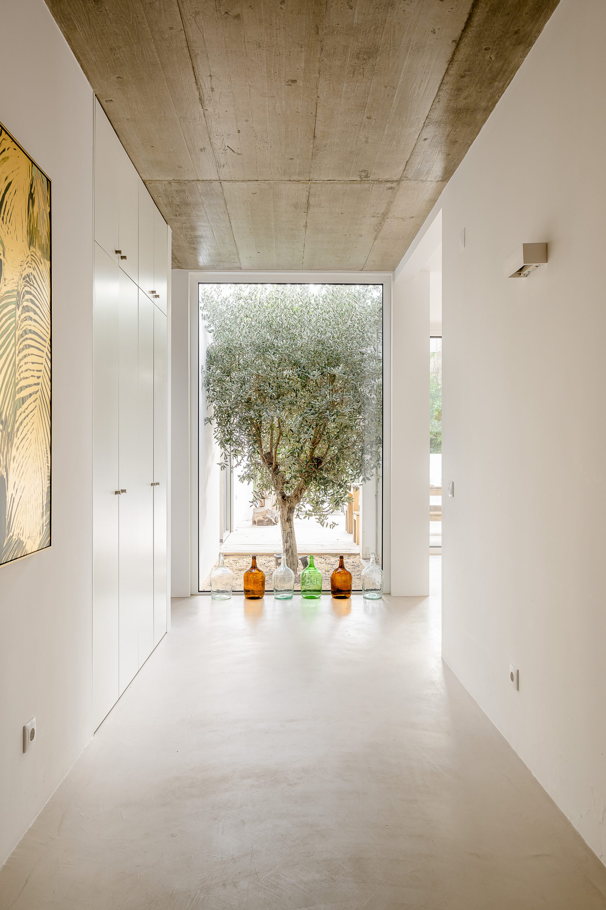 A place to breathe: Our glass-enclosed olive tree gently separates the quiet bedrooms (to the left) from the spacious living area (to the right). At night, its soft lighting creates a warm, calming atmosphere throughout the house.