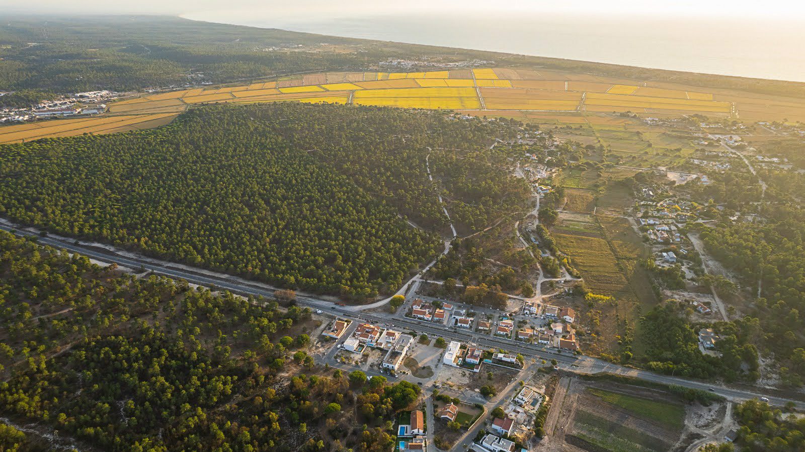 Aerial view of Villa Laranjeiras in Brejos da Carregueira de Baixo, surrounded by pine forests and rice fields near Comporta