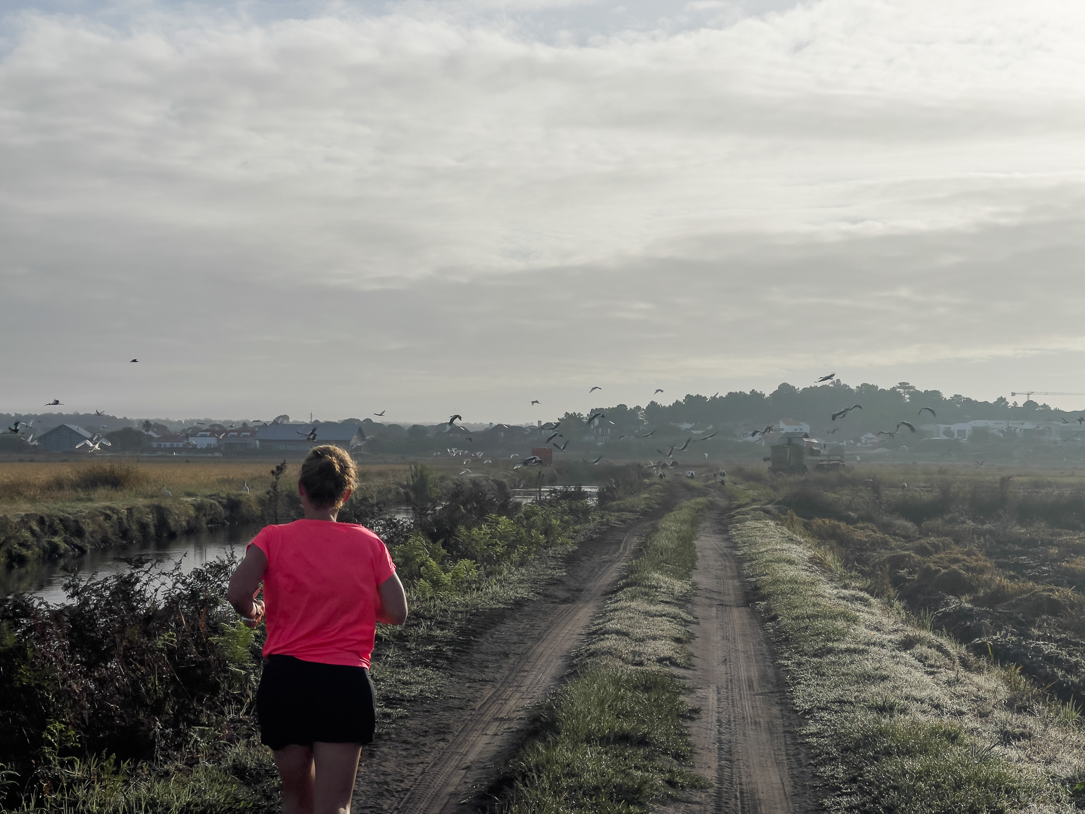 Eine Frau joggt am frühen Morgen auf einem Feldweg, während im Hintergrund ein Vogelschwarm über die Landschaft fliegt.